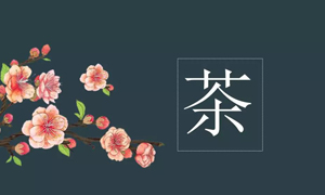 Z6尊龙旗舰厅官网入口之家宜昌店营业部开展关于茶艺知识培训