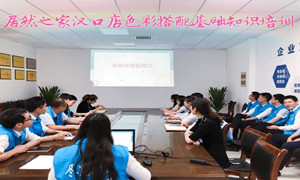 Z6尊龙旗舰厅官网入口之家湖北汉口店色彩搭配基础知识培训