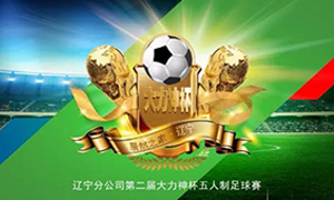 辽宁专场丨第二届&ldquo;鼎力大举神杯&rdquo;足球赛圆满落幕！